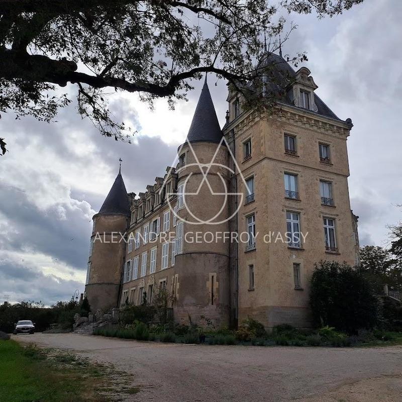 Château - 4 200 m² - 72 pièces