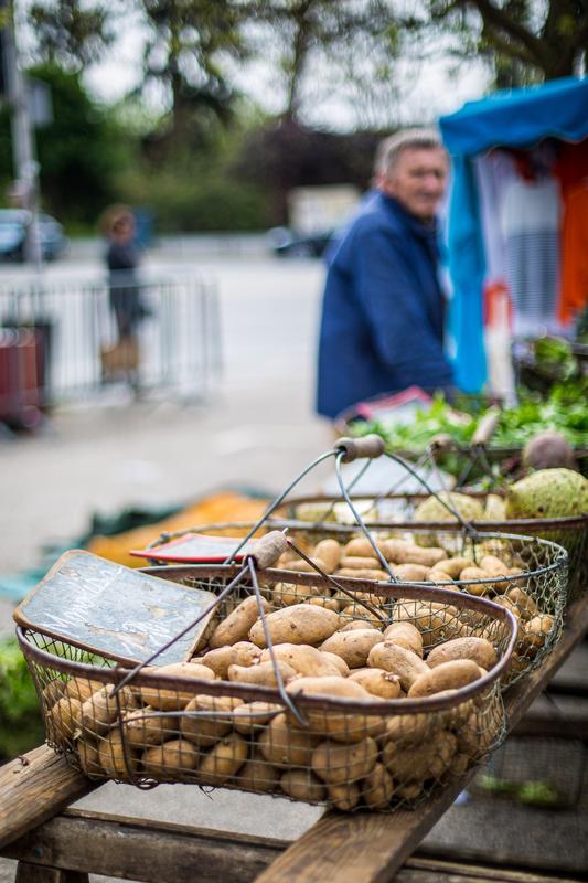 Marché des Jacobins - le Mans