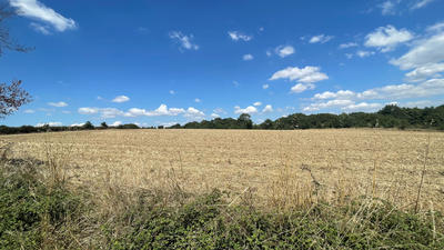 Terrain - 422 862 m²