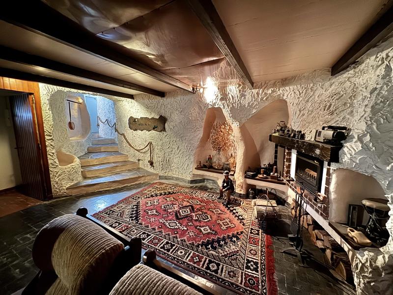 Maison contemporaine - 315 m² - 11 pièces