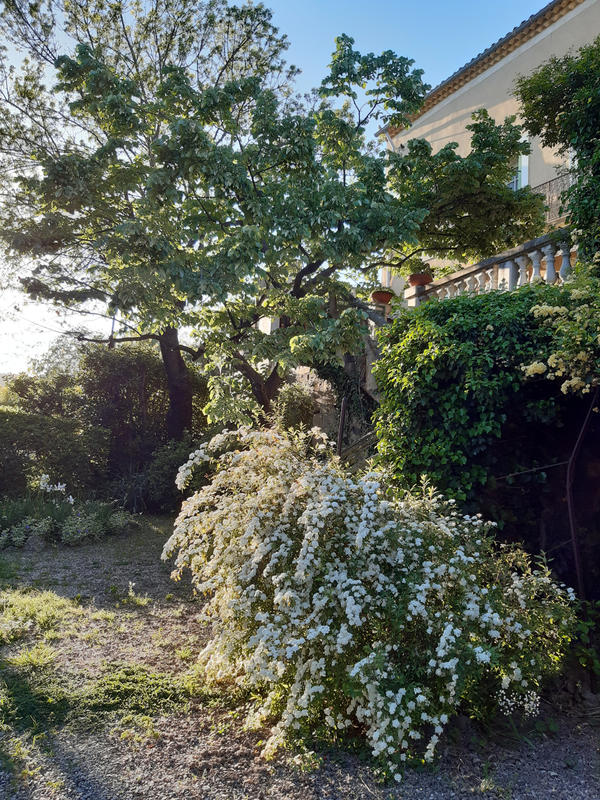 Maison - 180 m² - 8 pièces