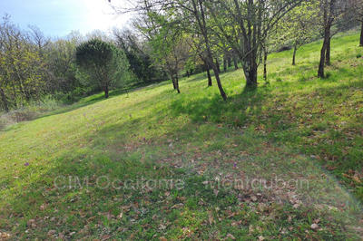 Terrain - 2 223 m²