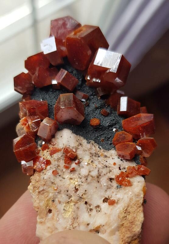 29ème bourse de collection de minéraux et fossiles