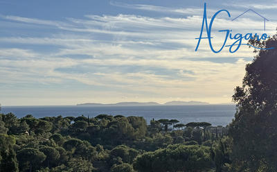 Mas - 73 m² - 3 pièces