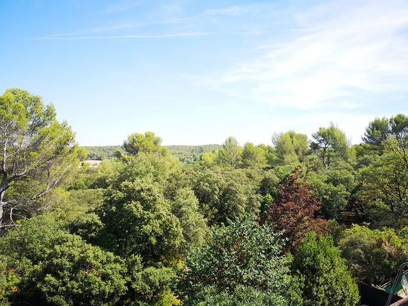 Appartement - 22 m² - 1 pièce