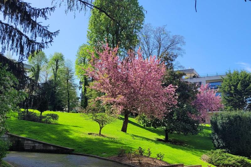 Appartement - 149 m² - 5 pièces