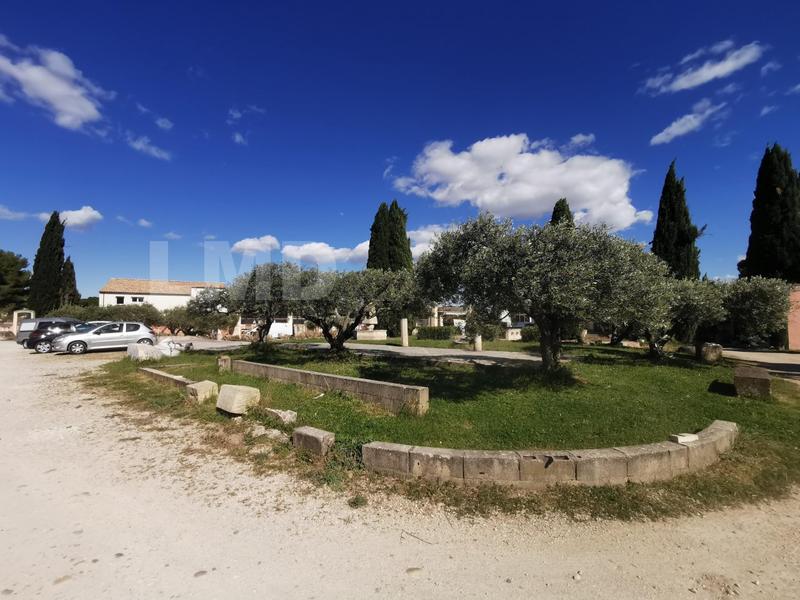 Local d'activités - 875 m²