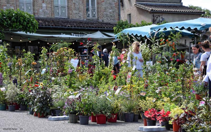Marché aux fleurs, vide-greniers et artisanat