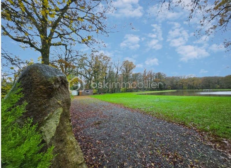 Terrain de loisirs - 9 100 m²