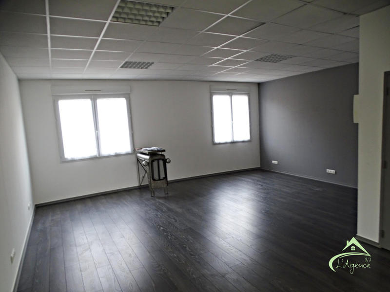 Loft - 297 m² - 7 pièces