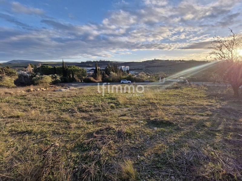 Terrain - 1 446 m²
