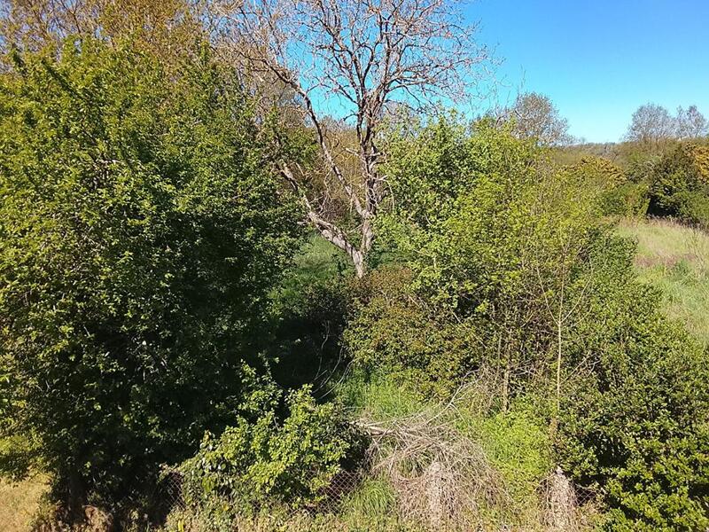 Maison - 55 m² - 3 pièces