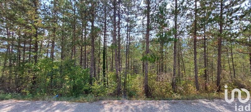 Terrain - 37 700 m²