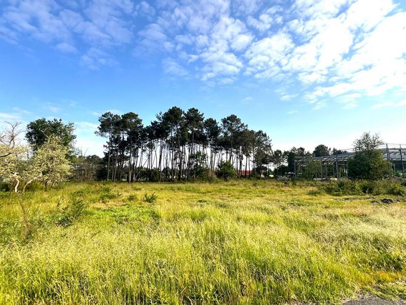 Maison - 800 m² - 10 pièces