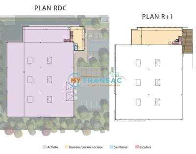 Local d'activités - 799 m²