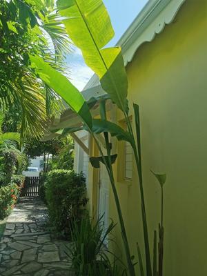 Bungalow - 34 m² - 2 pièces