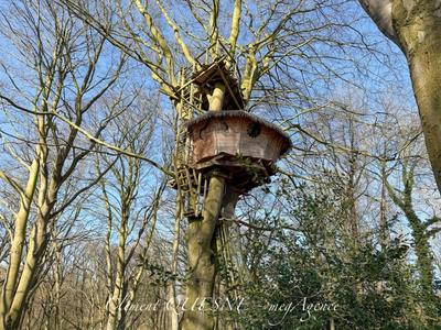 Fonds de commerce - 30 000 m²