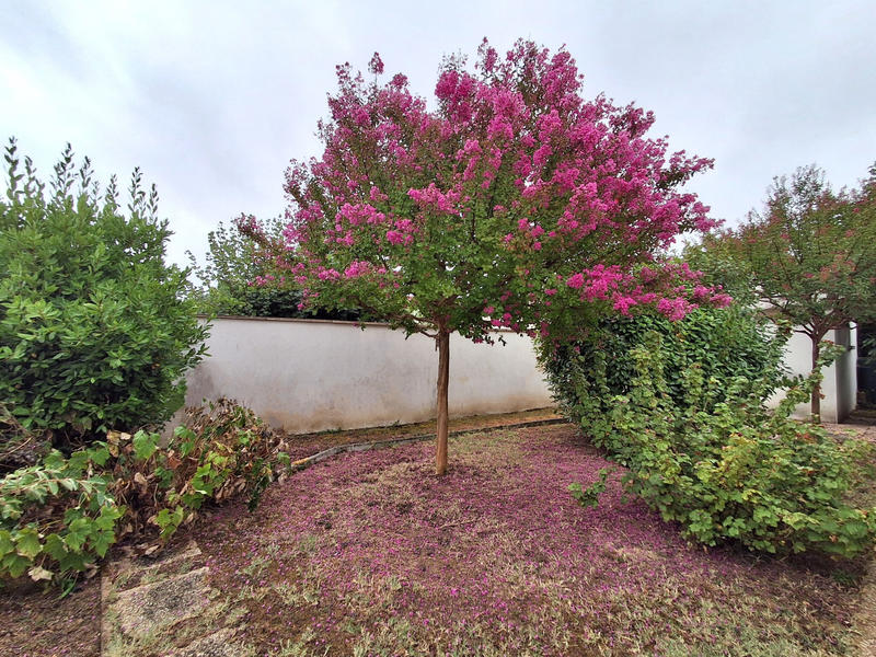 Maison - 90 m² - 3 pièces