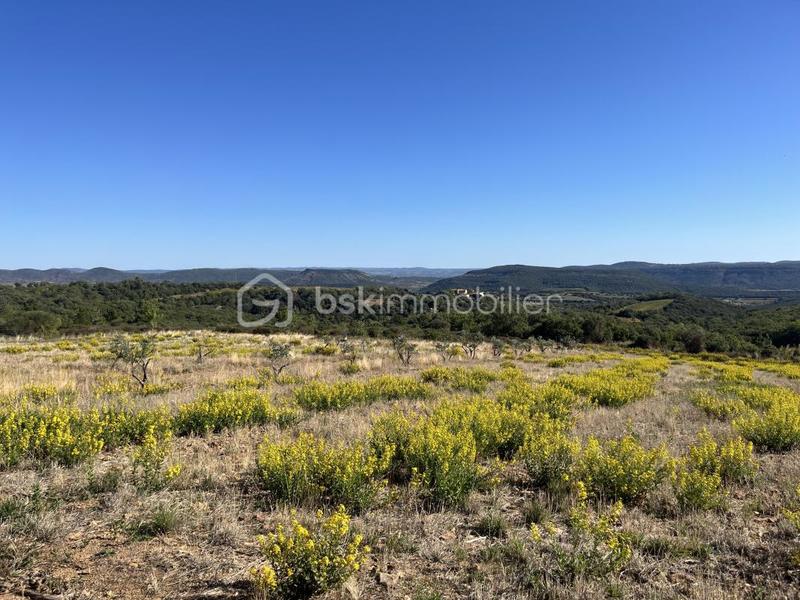 Terrain agricole - 94 430 m²