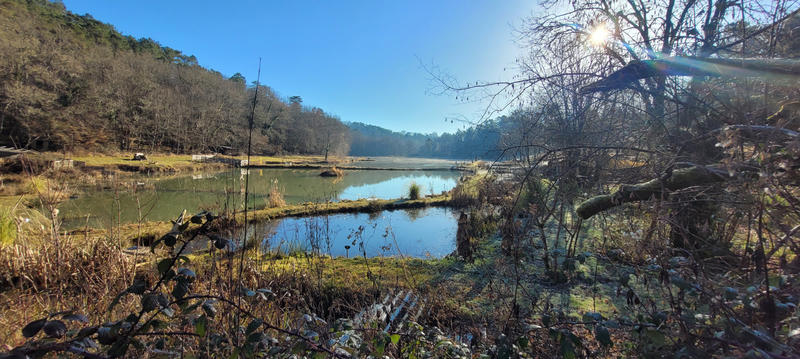 Terrain - 140 000 m²