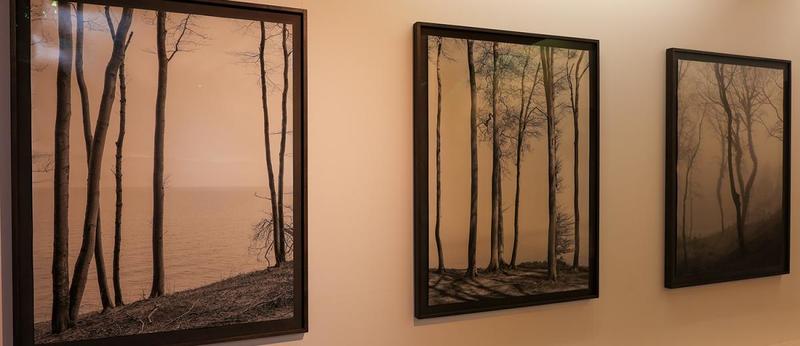 Exposition Chaumont-Photo-sur-Loire