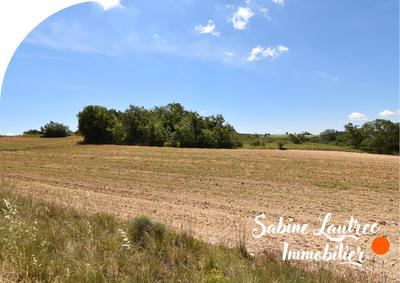 Terrain agricole - 307 637 m²