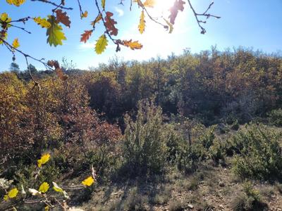 Terrain - 58 900 m²