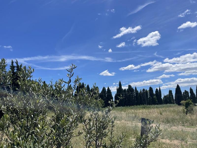 Terrain constructible - 450 m²