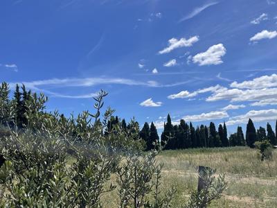 Terrain constructible - 450 m²