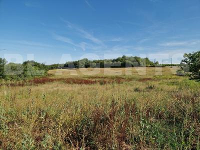 Terrain - 16 575 m²