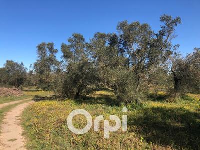 Terrain agricole - 5 800 m²