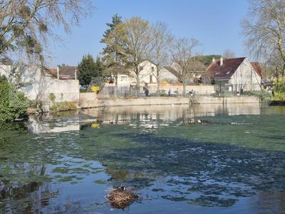 Appartement - 25 m² - 1 pièce