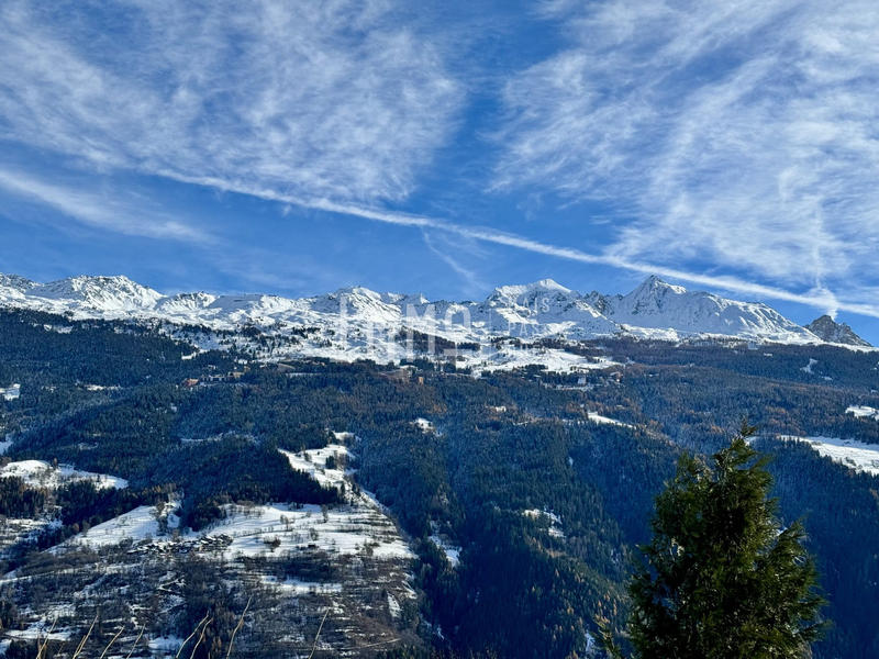 Châlet - 265 m² - 9 pièces