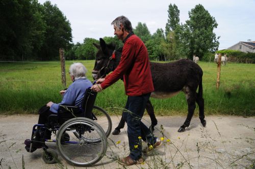 Les Ânes de la Rêverie