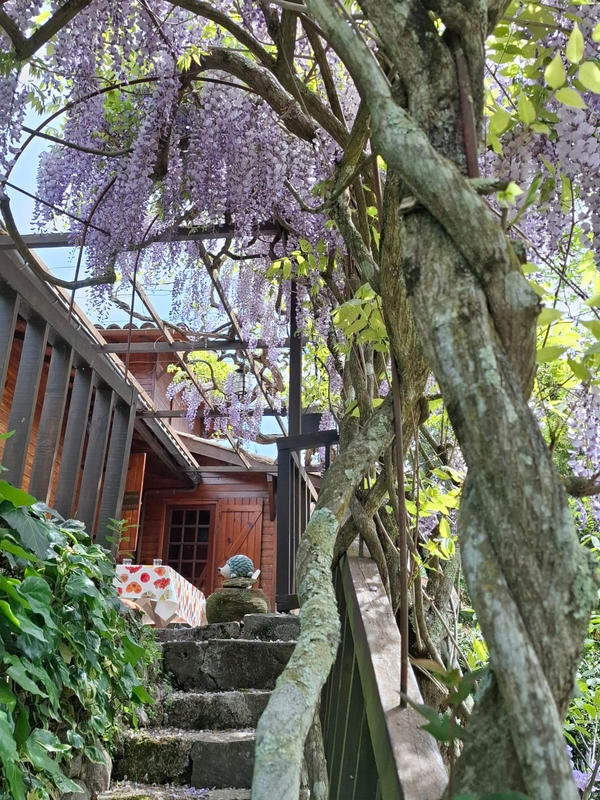 Maison - 43 m² - 3 pièces