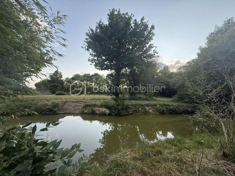 Maison de campagne - 140 m² - 3 pièces