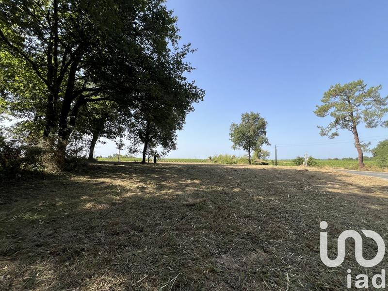 Terrain - 11 204 m²