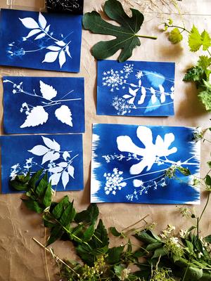 Ateliers carte de vœux en Cyanotype