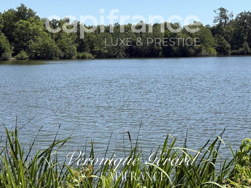 Propriété - 351 m² - 12 pièces