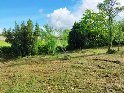 Terrain - 1 595 m²
