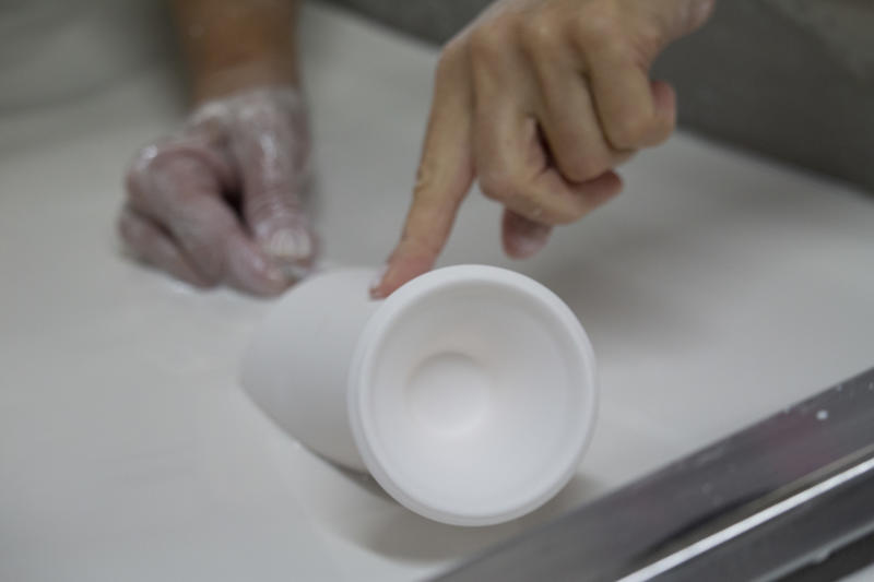 Visite guidée de Porcelaine Carpenet