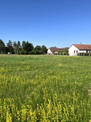 Terrain constructible - 1 720 m²