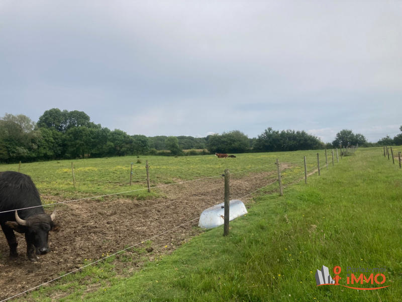 Maison - 299 m² - 12 pièces