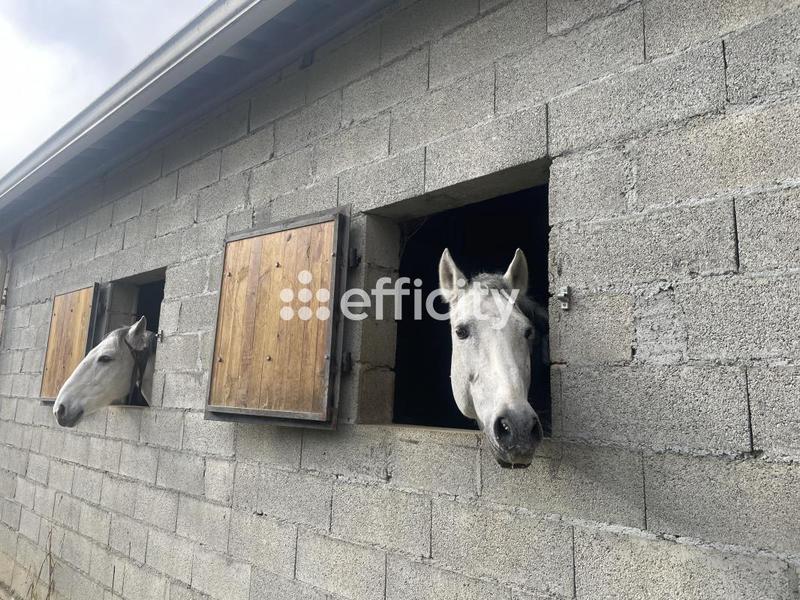 Maison de domaine équestre - 1 500 m²