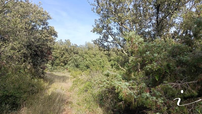 Terrain agricole - 12 250 m²