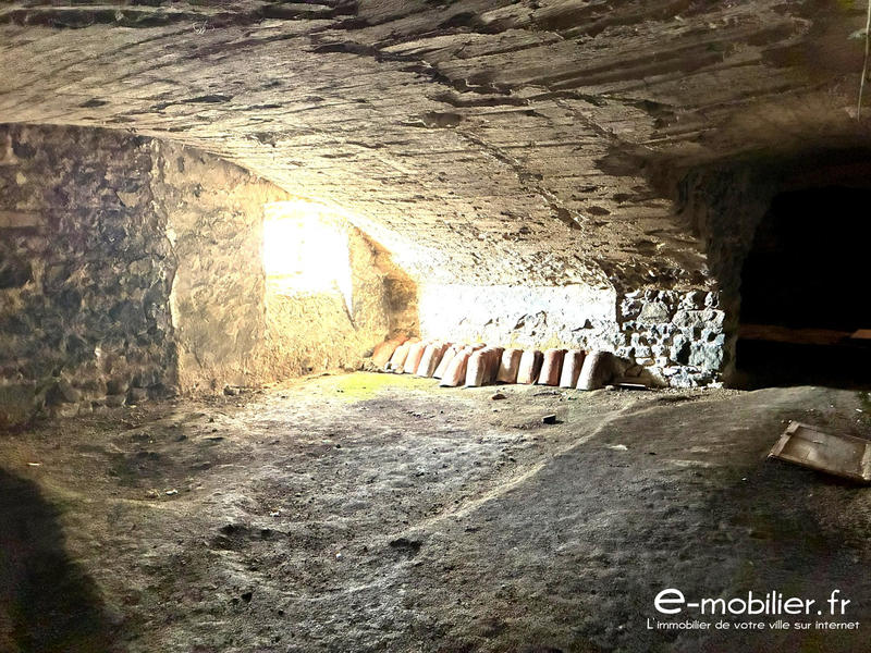 Maison ancienne - 220 m² - 9 pièces