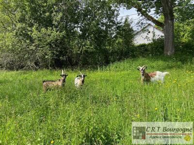 Maison - 105 m² - 6 pièces