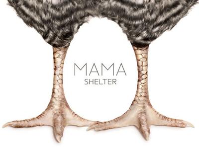 Appartement - 18 m² - 1 pièce