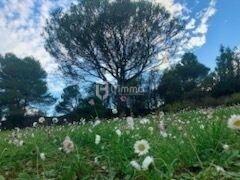 Terrain de loisirs - 26 000 m²