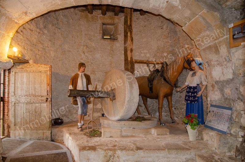 Château - 400 m² - 9 pièces